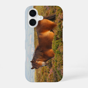 Exmoor pony, horse, Somerset, England iPhone 16 Case
