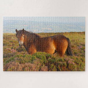 Exmoor pony, horse, Somerset, England Jigsaw Puzzle