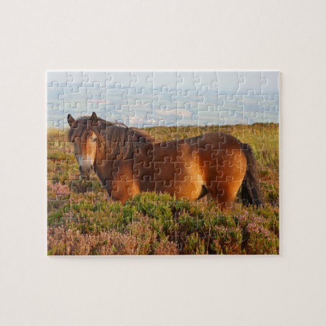 Exmoor pony, horse, Somerset, England Jigsaw Puzzle (Horizontal)