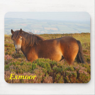 Exmoor pony, horse, Somerset, England Mouse Mat