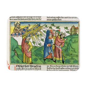 Exodus 10:1-20 The Seven Plagues of Egypt: the pla Magnet