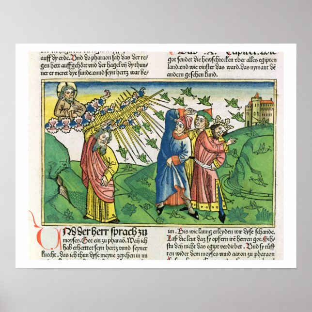 Exodus 10:1-20 The Seven Plagues of Egypt: the pla Poster (Front)