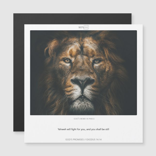 Exodus 14:14 GODS PROMISES SCRIPIX magnetic card (Front/Back)