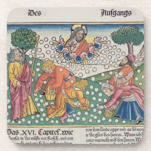 Exodus 16 13-22 God provides quail and manna to th Coaster