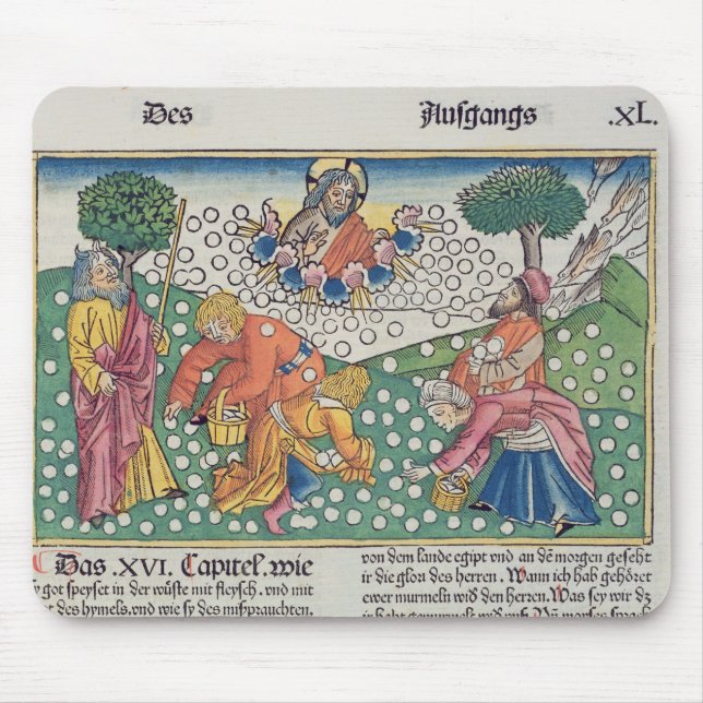 Exodus 16 13-22 God provides quail and manna to th Mouse Mat (Front)