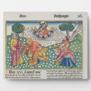 Exodus 16 13-22 God provides quail and manna to th Plaque