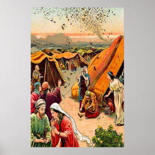 Exodus 16 God Sends Quail and Manna poster