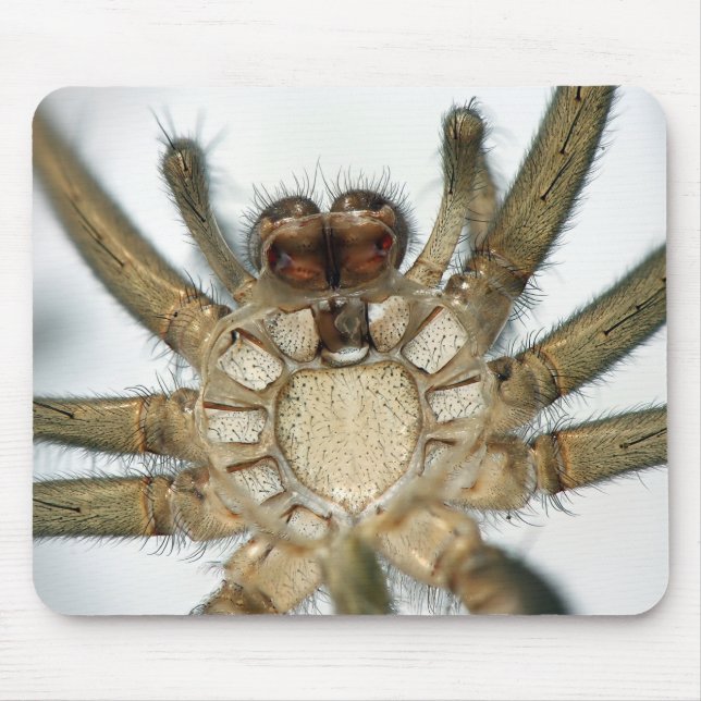 exoskeleton spider mouse mat (Front)