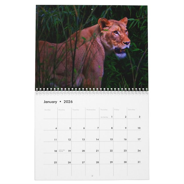 Exotic Animals calendar (Jan 2026)