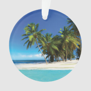 Exotic beach throw pillow ornament