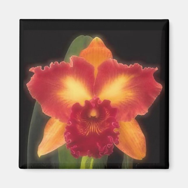 Exotic Beauty Magnet (Front)