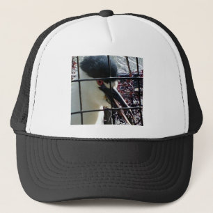 Exotic Bird at the Zoo image Trucker Hat