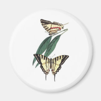 Exotic Bird Fridge Magnet