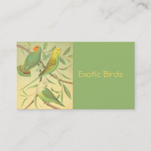 exotic birds business card