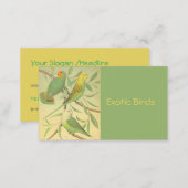 exotic birds business card (Front/Back)