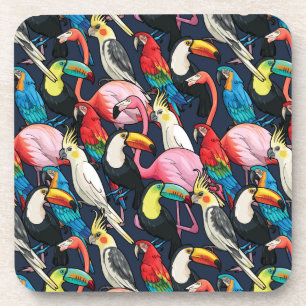 Exotic birds coaster