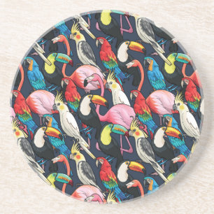 Exotic birds coaster