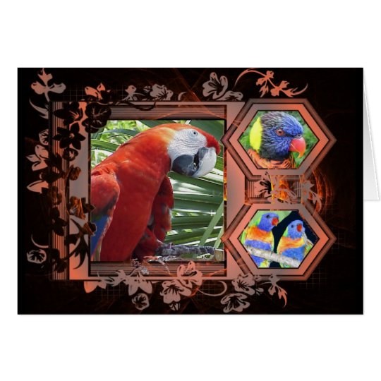 Exotic Birds Greeting Card