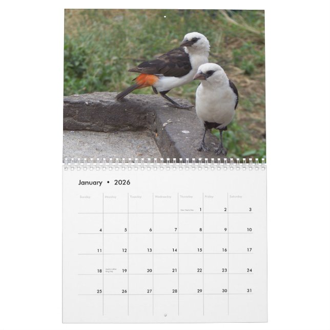 Exotic Birds of East and South Africa Calendar (Jan 2026)