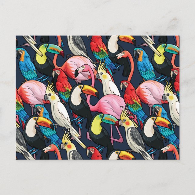 Exotic birds postcard (Front)