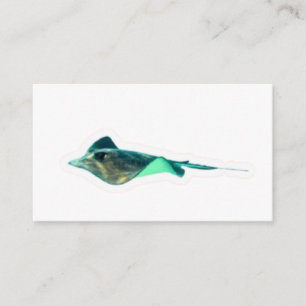 ​Exotic Black Diamond Stingray Sticker - Freshwate Enclosure Card