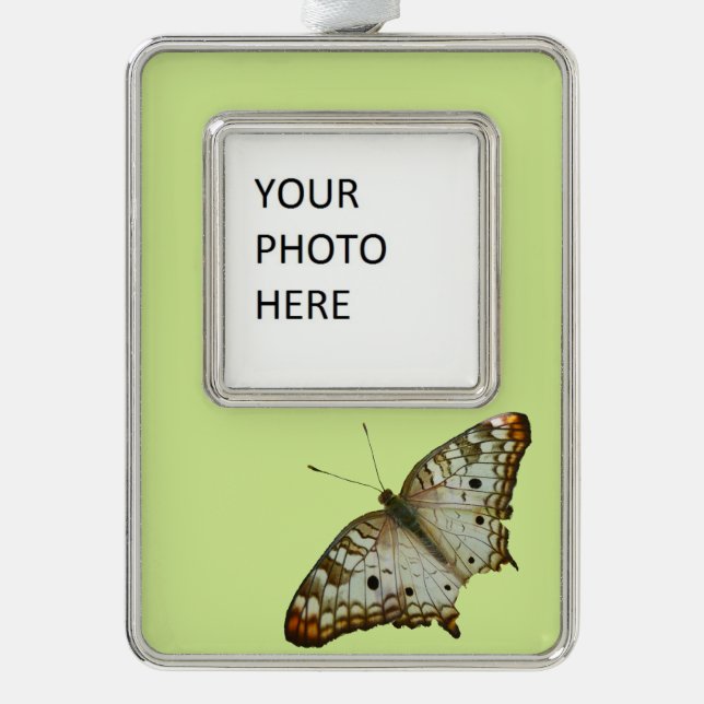 Exotic Butterfly from St. Lucia Silver Plated Framed Ornament (Front)