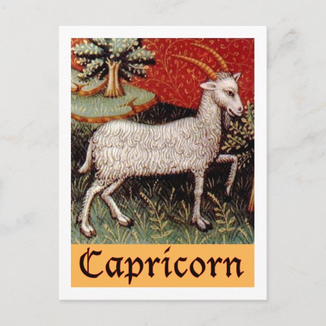 Exotic Capricorn Zodiac Sign Postcard (Front)