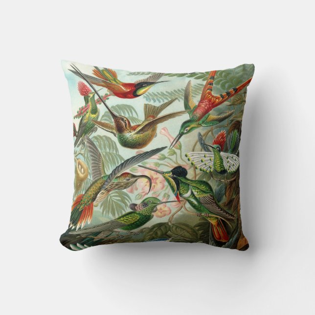 Exotic Colourful Birds Vintage Print Cushion (Front)