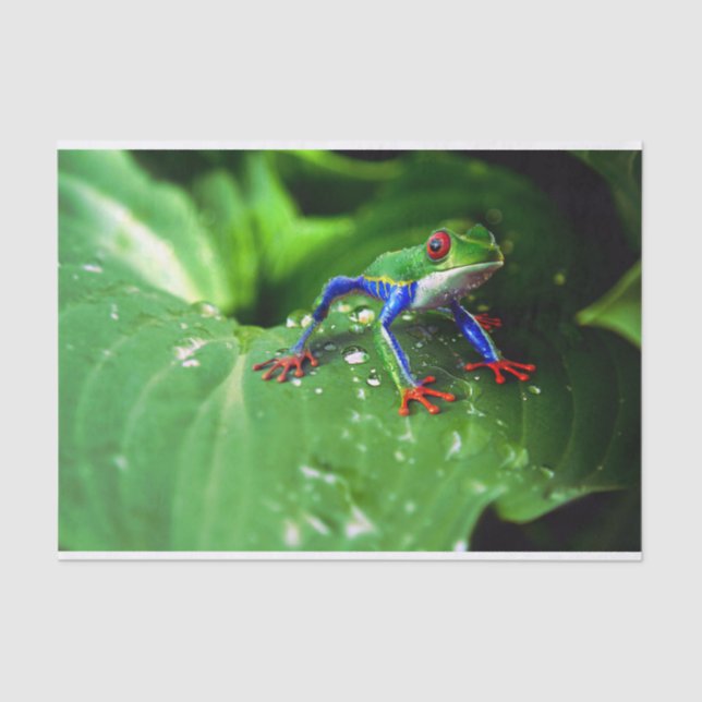 Exotic Colourful Frog Leaf Tissue Paper (Front)