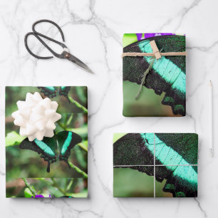 Exotic Emerald Swallowtail Wrapping Paper Sheet