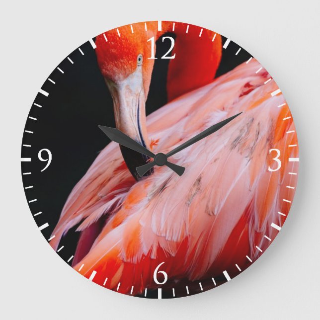Exotic Flamingo Portrait Large Clock (Front)