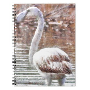 Exotic Flamingo Watercolor Notebook