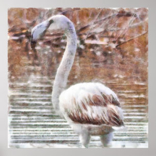 Exotic Flamingo Watercolor Poster