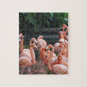Exotic Flamingos Jigsaw Puzzle