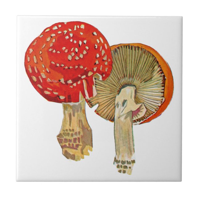 Exotic Flora #11 at SunshineDazzle Tile (Front)