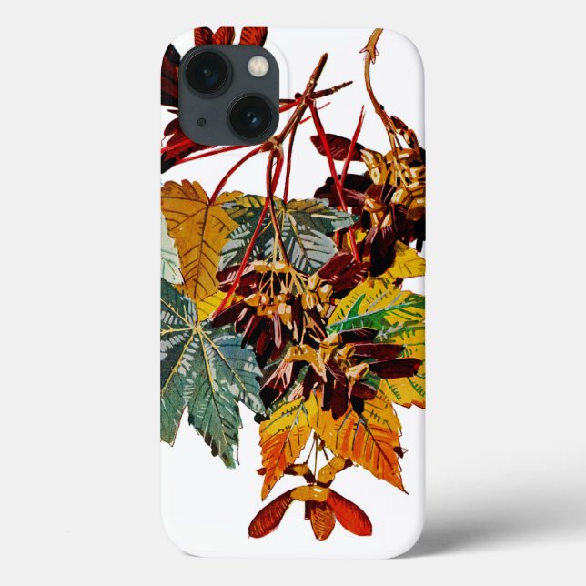 Exotic Flora #3 at SunshineDazzle Case-Mate iPhone Case (Back)