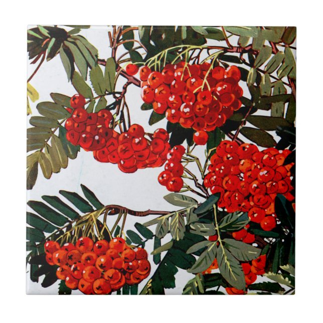 Exotic Flora #5 at SunshineDazzle Tile (Front)