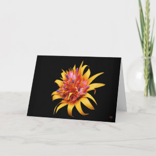Exotic Floral Greeting Cards