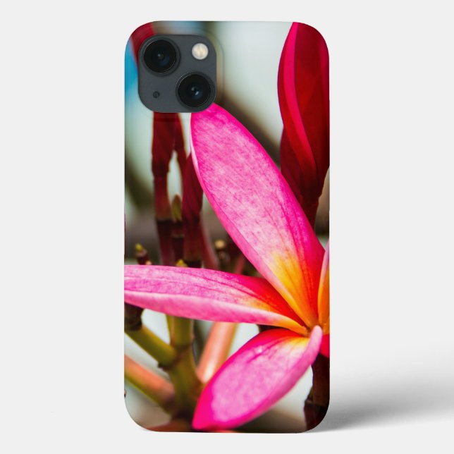 Exotic flower background plumeria blooms Case-Mate iPhone case (Back)