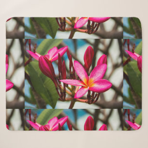 Exotic flower background plumeria blooms sherpa blanket