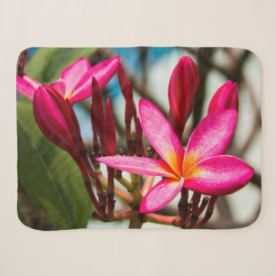 Exotic flower background plumeria blooms sherpa blanket