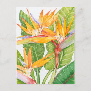 Exotic Flowers Watercolor Postcard