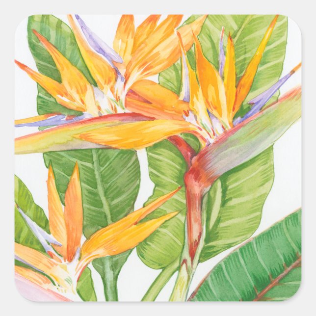 Exotic Flowers Watercolor Square Sticker (Front)
