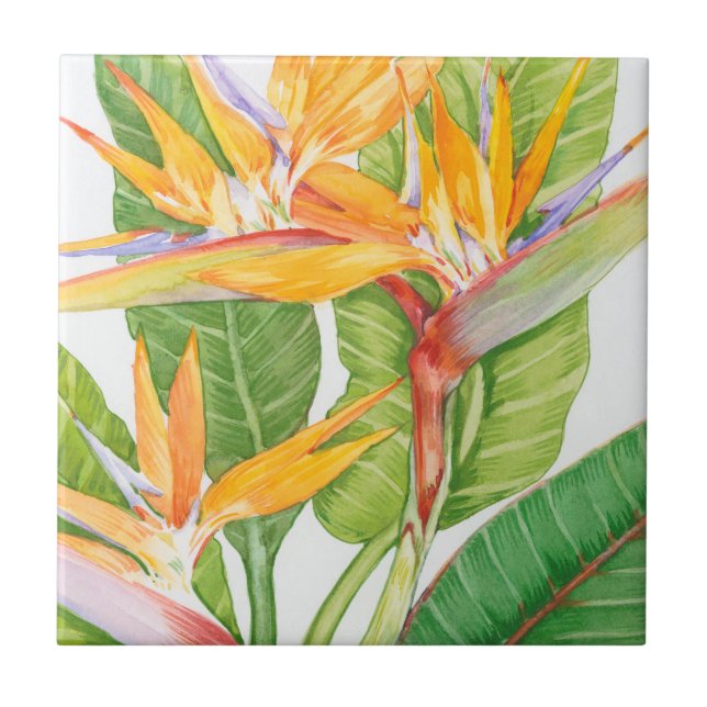 Exotic Flowers Watercolor Tile (Front)