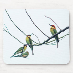 Exotic Indian kerala Bee-Eater Birds on Branch Mouse Mat