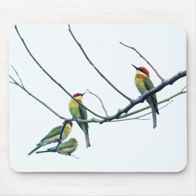 Exotic Indian kerala Bee-Eater Birds on Branch Mouse Mat (Front)