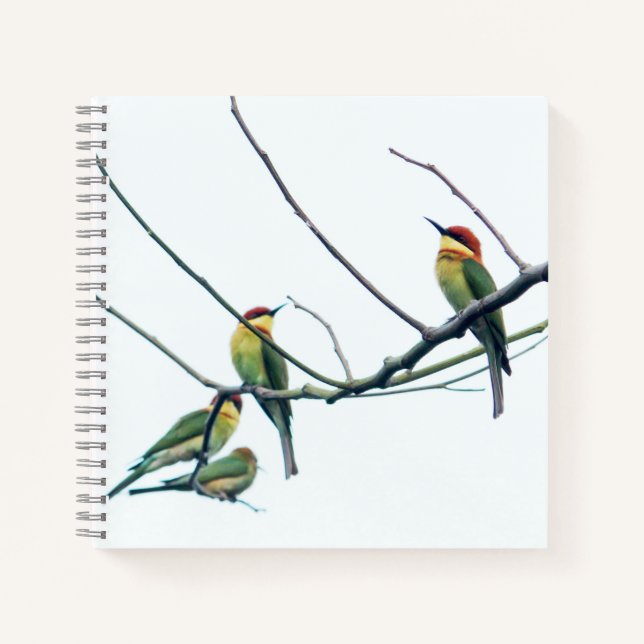 Exotic Indian kerala Bee-Eater Birds on Branch Notebook (Front)
