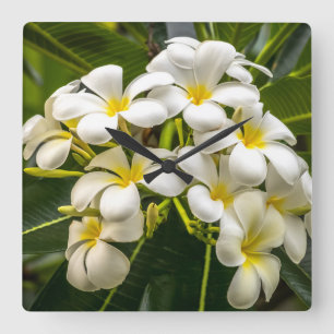 Exotic Island Plumeria Clock