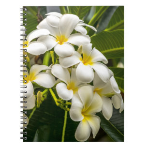 Exotic Island Plumeria Notebook