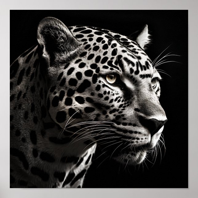 Exotic jaguar digital print (Front)